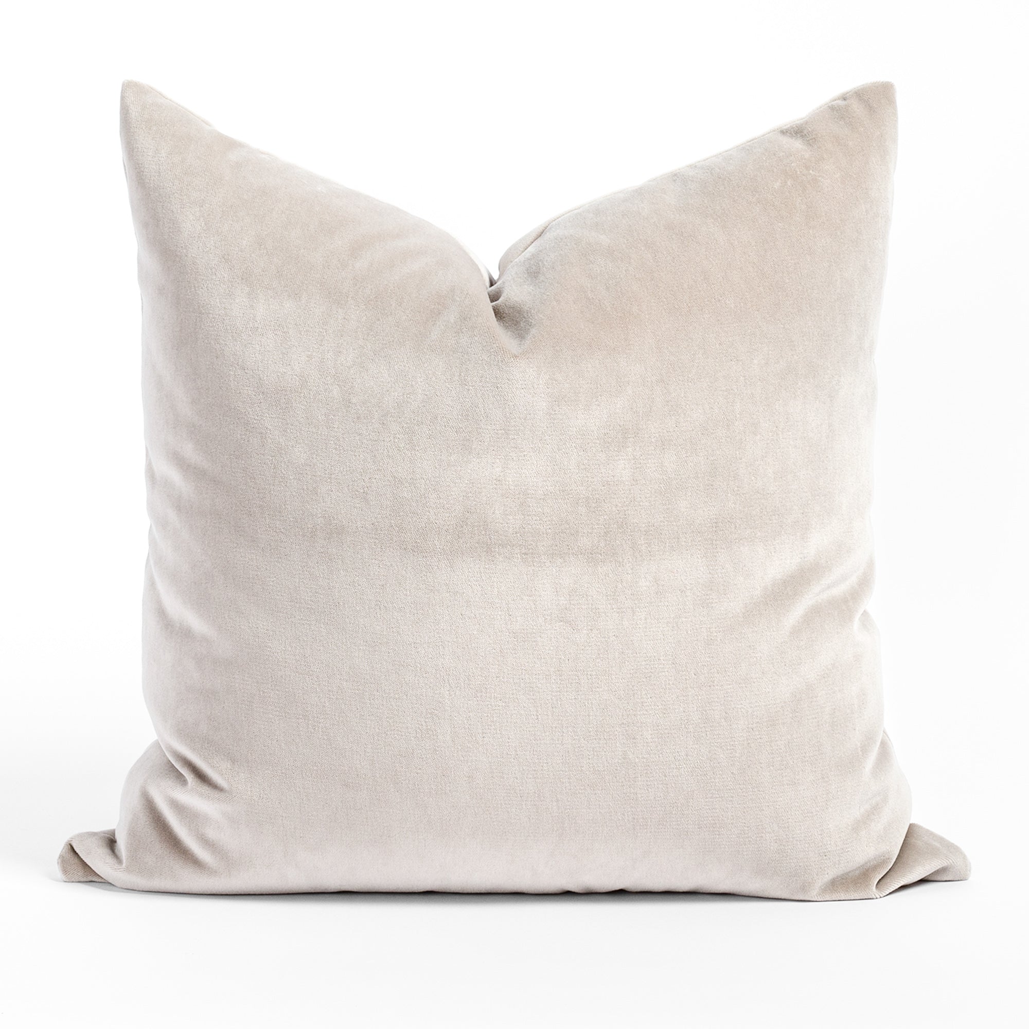 Mason Velvet 20x20 Pillow Mushroom Tonic Living